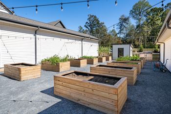 A row of wooden raised garden beds are lined up in a gravel area.
